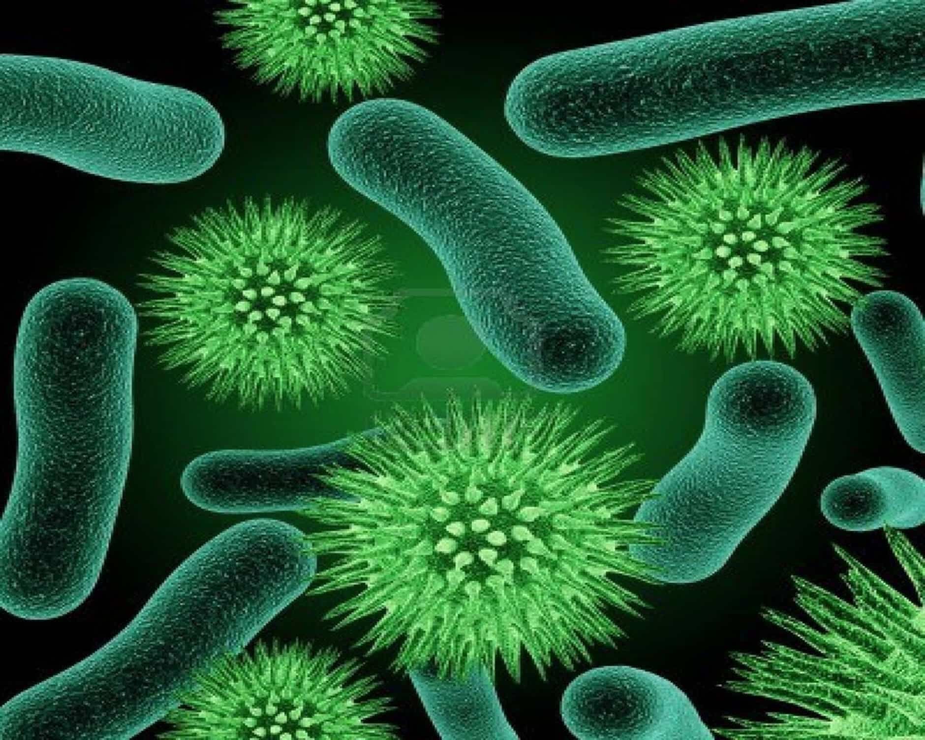 Tìm hiểu về một số vi khuẩn chúng ta thường gặp