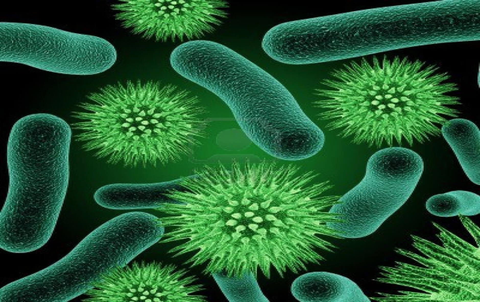 Vi khuẩn - tác nhân gây ra những bệnh lý nhiễm trùng da
