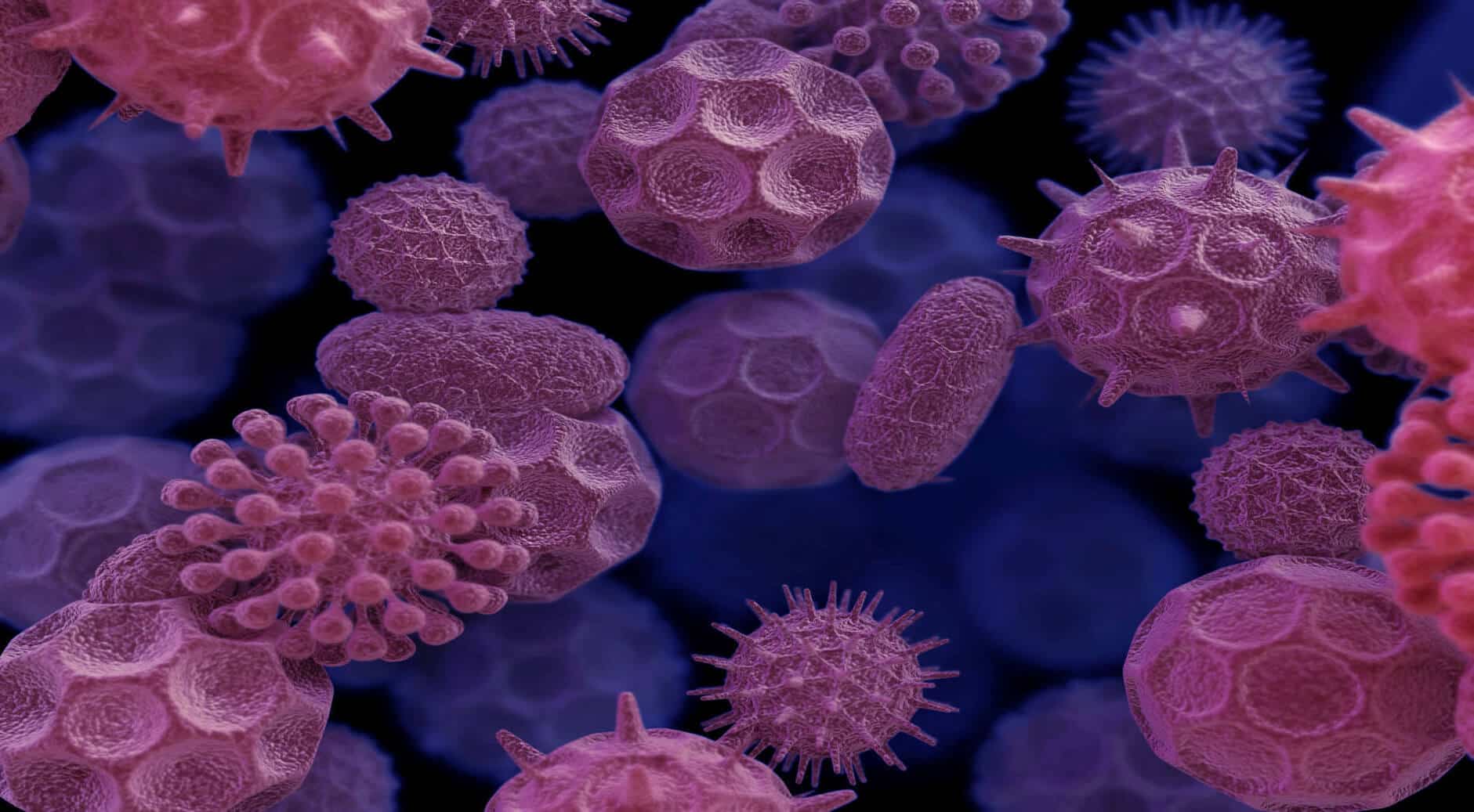 Hình ảnh của virus đậu mùa nguy hiểm